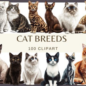RACES DE CHATS - 100 cliparts aquarelle (300 dpi Bengale balinais Bombay British Shorthair birman Chausie exotique La Havane brun chat de l'Himalaya)
