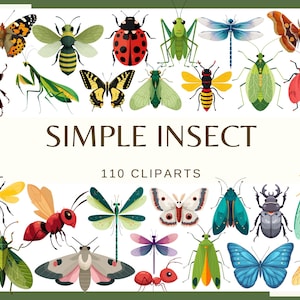INSECTES SIMPLES - 110 images clipart (300 dpi, mante religieuse, sauterelle, scarabée, papillon de nuit, papillon, libellule, mouche, araignée, insecte, dessin animé png)