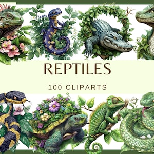 RÉPTEIS - 100 clip arts (300 dpi, digital, fundo transparente, natureza, png, lagarto, lagartixa, cobra, réptil, crocodilo, tartaruga, salamandra)