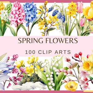 SPRING FLOWERS 100 clip arts 300 dpi, floral, nature, garden, pussy willow flower, crocus, tulip, daffodil, hyacinth magnolia bundle png image 1