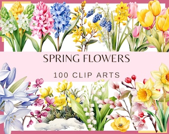 May include: A collection of 100 watercolor illustrations of spring flowers, including hyacinths, daffodils, lilies of the valley, and more. The flowers are arranged in a colorful bouquet with a pink background and the text "SPRING FLOWERS 100 CLIP ARTS".