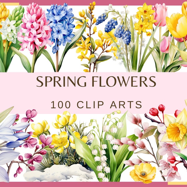 FLEURS DE PRINTEMPS - 100 images clipart (300 dpi, floral, nature, jardin, fleur de saule, crocus, tulipe, jonquille, bundle de magnolia jacinthe png)