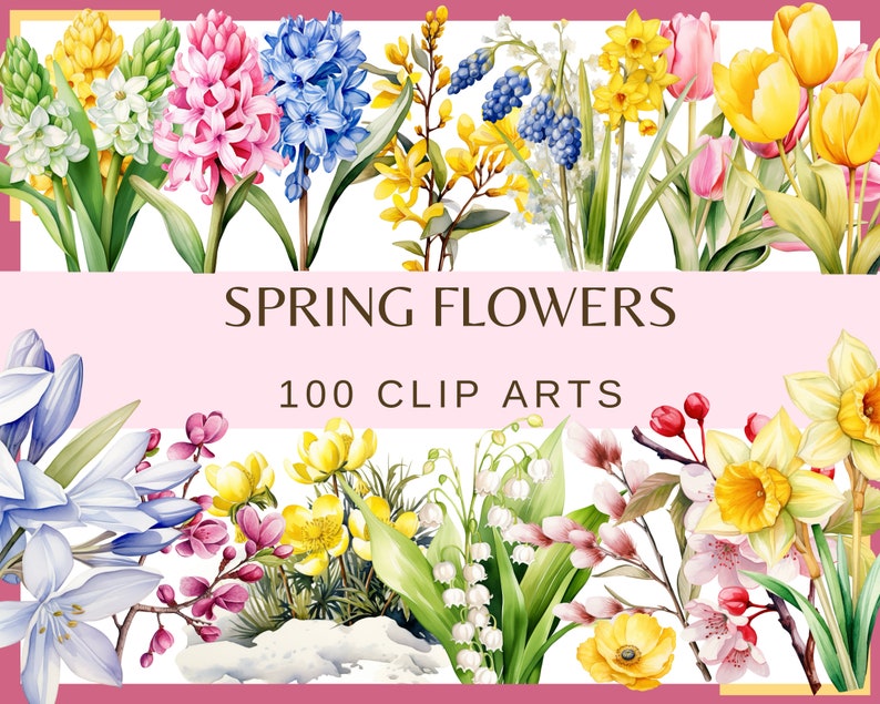 SPRING FLOWERS 100 clip arts 300 dpi, floral, nature, garden, pussy willow flower, crocus, tulip, daffodil, hyacinth magnolia bundle png image 1