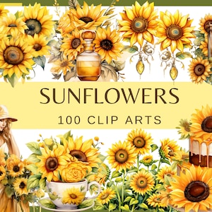 SONNENBLUMEN - 100 Clip Art (300 dpi, kommerzielle Nutzung, Bündel, digital, gelbe, blasse Blumen, Blumen, Natur, Garten, Junk Journal, png)