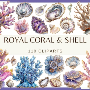 COQUILLAGES ROYAUX - 110 images clipart (300 dpi, anémone de mer, lot, numérique, vie marine, png, été, étoile de mer, vacances, coquillage perlé, corail)