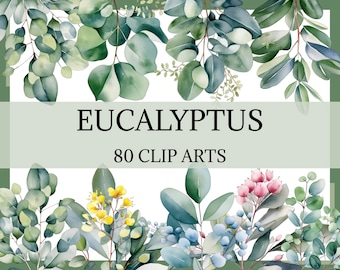 EUCALYPTUS - 100 clip arts (greenery, png, 300 dpi, eucalyptus frame, eucalyptus in vase, commercial use, bundle, digital, floral)
