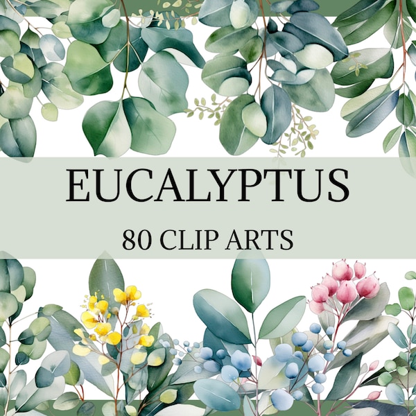 EUCALYPTUS - 100 clip arts (greenery, png, 300 dpi, eucalyptus frame, eucalyptus in vase, commercial use, bundle, digital, floral)