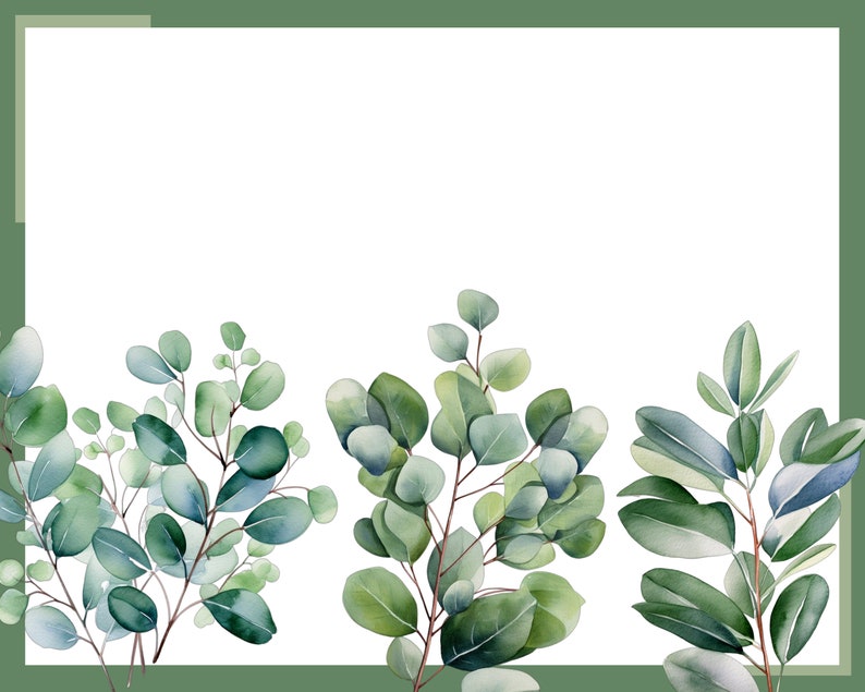 EUCALYPTUS 50 Clip Arts greenery, Png, 300 Dpi, Transparent Background
