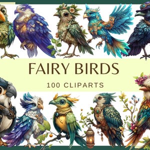 FAIRY BIRDS - 100 images clipart (300 dpi, oiseau rigolote fatigué, perroquet vautour, corbeau, perroquet, hibou, png, faune, oiseau féerique fantastique)
