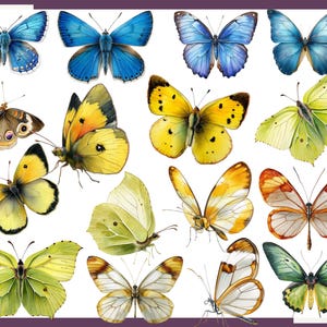 May include: A collection of 15 colorful butterfly illustrations with various wing patterns and colors, including blue, yellow, green, and white.