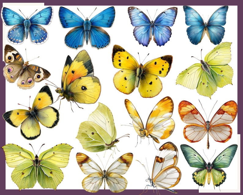 May include: A collection of 15 colorful butterfly illustrations with various wing patterns and colors, including blue, yellow, green, and white.