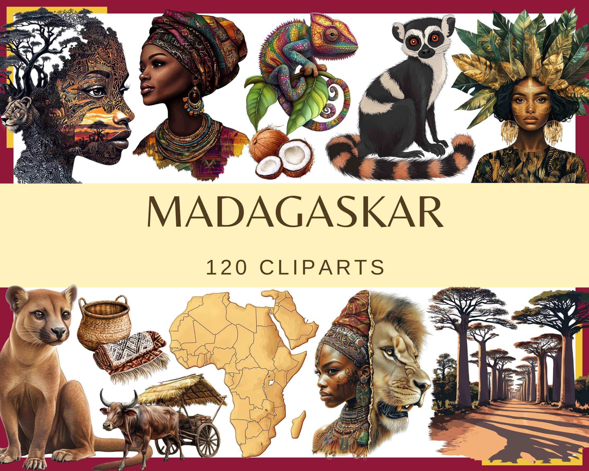 MADAGASKAR - 120 clip arts (300 dpi, African nature animals, woman, African culture, savanna, lemur, chameleon, baobab, malagasy, png)