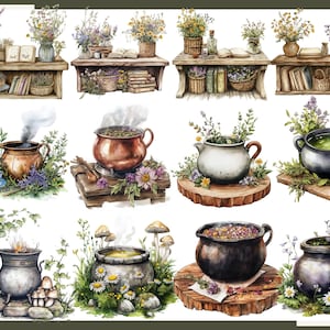 May include: Watercolor illustrations of apothecary shelves with books, baskets, and vases filled with flowers. Also, images of cauldrons with herbs and flowers, some steaming, on wooden platforms. The overall theme is a whimsical, herbalist aesthetic.