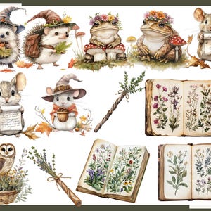 May include: Watercolor illustrations of whimsical forest creatures, including hedgehogs, frogs, and mice, adorned with hats and floral crowns. The image also features open books with botanical illustrations, a wand, and an owl in a basket.