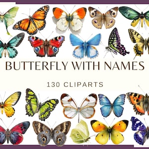 VLINDERS MET NAMEN - 130 clipart (300 dpi, bloem, bundel, aquarel, zeldzame vlinder, bloemen, insect, png)