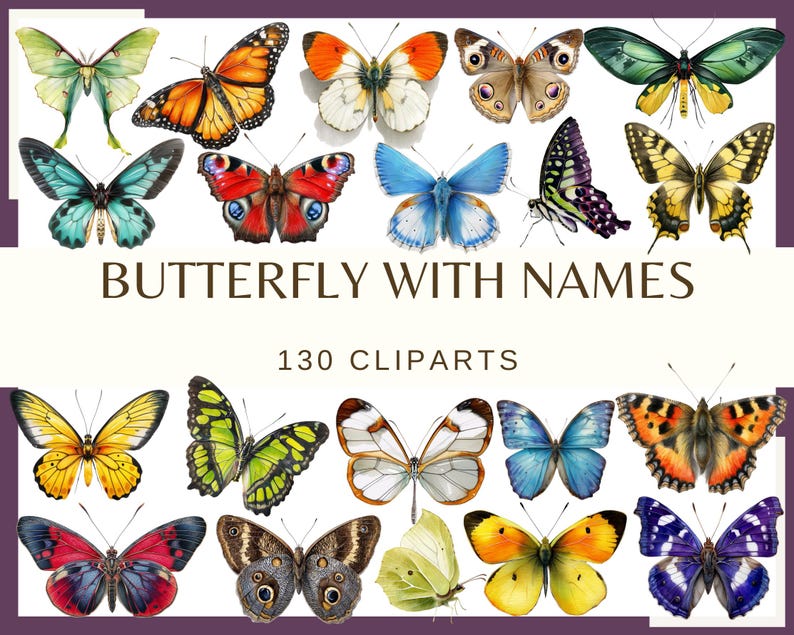 Butterfly Clip Art: Watercolor Butterfly Illustrations, Floral PNG Bundle (130 files) image 1