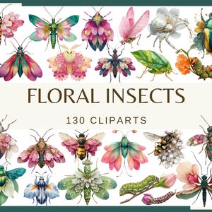 BLUMIGE INSEKTEN - 130 Clip-Arts (300 dpi, Gottesanbeterin, Heuschrecke, Käfer, Motte, Schmetterling, Wespe, Libelle, Fliege, Spinne, Insekt, png)