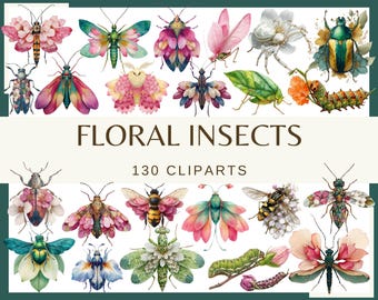 Blumen Insekten Clipart: Aquarell Schmetterling, Käfer, Motte (130 PNG)