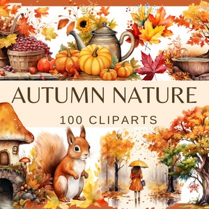 AUTUMN NATURE - 100 clip arts (300 dpi, commercial use, tree, leaf, fall vibes, nature, garden, autumn animals, png, mushroom)