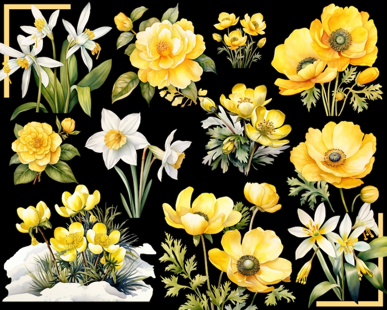 SPRING FLOWERS 100 clip arts 300 dpi, floral, nature, garden, pussy willow flower, crocus, tulip, daffodil, hyacinth magnolia bundle png image 5