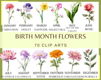 Birth Month Flowers - 70 clip arts (300 dpi, commercial use, bundle, digital, transparent background, floral, watercolor)