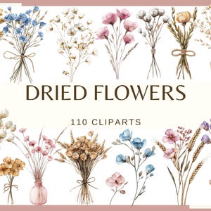 GEDROOGDE BLOEMEN - 110 clip arts (300 dpi, png, boho bloemen, natuurlijke touwboeketten, vaasarrangementen, rustieke botanische digitale download)