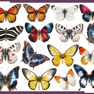 Butterfly Clip Art: Watercolor Butterfly Illustrations, Floral PNG Bundle (130 files) image 4