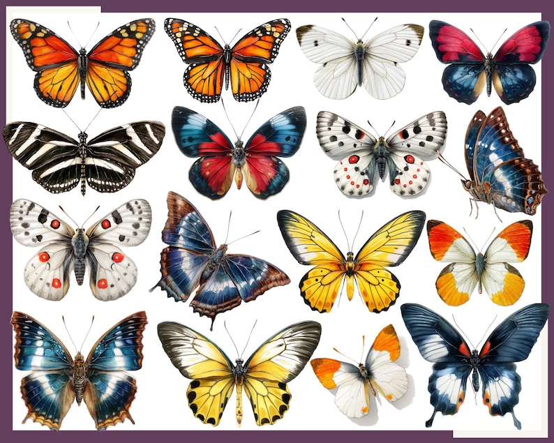 Butterfly Clip Art: Watercolor Butterfly Illustrations, Floral PNG Bundle (130 files) image 4