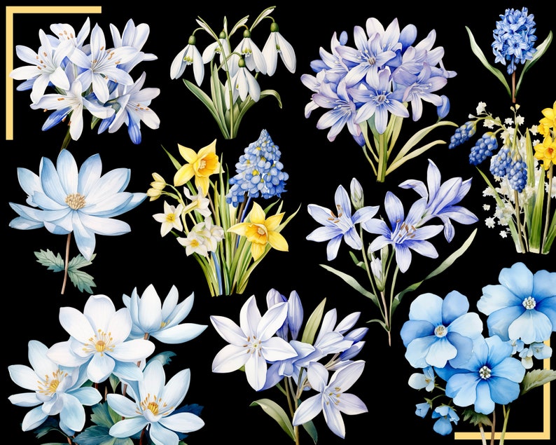 SPRING FLOWERS 100 clip arts 300 dpi, floral, nature, garden, pussy willow flower, crocus, tulip, daffodil, hyacinth magnolia bundle png image 4