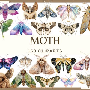May include: A collection of 160 watercolor moth illustrations. The moths are depicted in various colors, patterns, and poses. The image includes a title "MOTH" and the text "160 CLIPARTS".
