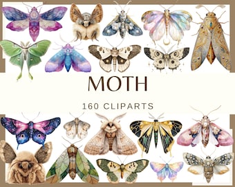 May include: A collection of 160 watercolor moth illustrations. The moths are depicted in various colors, patterns, and poses. The image includes a title "MOTH" and the text "160 CLIPARTS".