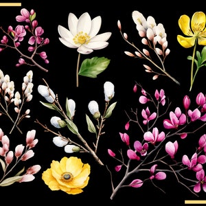 SPRING FLOWERS 100 clip arts 300 dpi, floral, nature, garden, pussy willow flower, crocus, tulip, daffodil, hyacinth magnolia bundle png image 7