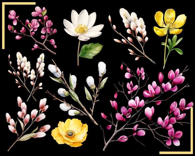 SPRING FLOWERS 100 clip arts 300 dpi, floral, nature, garden, pussy willow flower, crocus, tulip, daffodil, hyacinth magnolia bundle png image 7