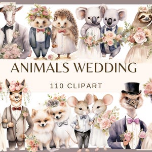 MATRIMONIO DEGLI ANIMALI - 110 clip art acquerellate (sfondo trasparente 300 dpi, cronologia matrimonio png, icone elementi matrimonio, diario spazzatura)