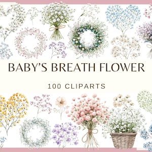 FIORI DI RESPIRO DEL BAMBINO - 100 clip art (300 dpi, sfondo trasparente, bundle png, digitale, natura, cuore floreale, corona, bouquet da sposa)