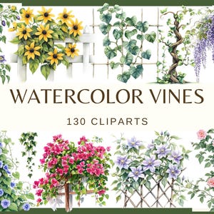 WATERCOLOR VINES - 130 clip arts (300 dpi, floral vine, png, bundle, digital, nature, monstera leaf, tree leaves, ivy Greenery Watercolor)