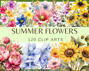 May include: A collection of 120 watercolor clip art images featuring various summer flowers in vibrant colors, including sunflowers, peonies, and bluebells.  The text "SUMMER FLOWERS 120 CLIP ARTS" is displayed on a green background.