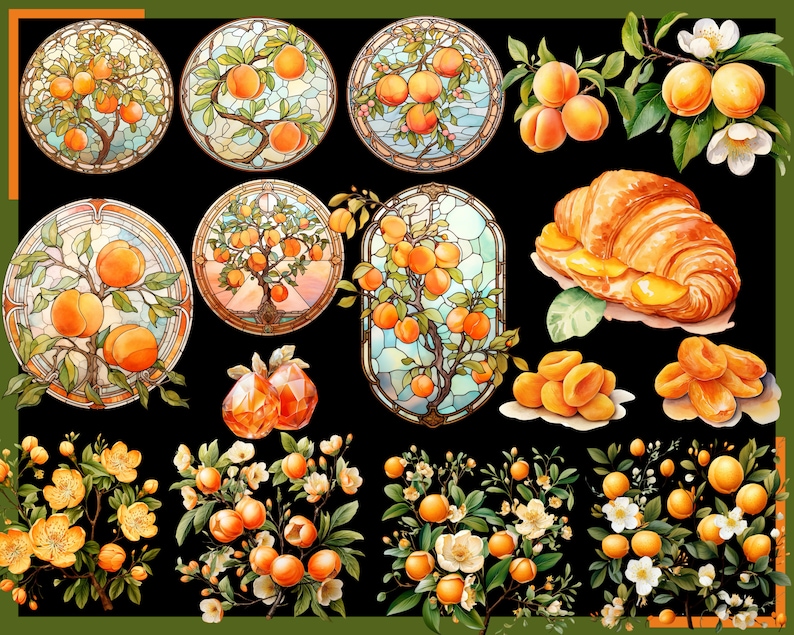 Apricot Clip Art: 100 Fruit Illustrations & Patterns (PNG Digital ...
