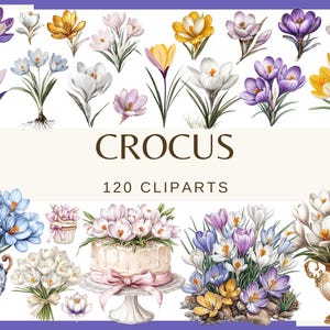 Peut inclure: Une collection de 120 illustrations aquarelle de crocus dans différentes couleurs, notamment le violet, le jaune, le blanc et le bleu. Les illustrations sont disposées en grille et sont parfaites pour une utilisation dans des projets numériques ou imprimés.