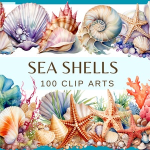COQUILLAGES - 100 images clipart (300 dpi, anémone de mer, hippocampe, lot, numérique, vie marine, png, été, étoile de mer, vacances, coquillage perlé, corail)