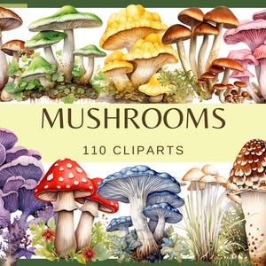 May include: A collection of 110 watercolor illustrations of various mushrooms in different colors and shapes. The mushrooms are depicted in a realistic style with intricate details. The image includes mushrooms with red, yellow, brown, purple, and green caps.