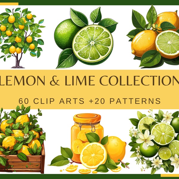 LEMON & LIME COLLECTION - 60 clip arts and 20 patterns (300 dpi, fruit, Transparent background, commercial use, bundle, digital, png)