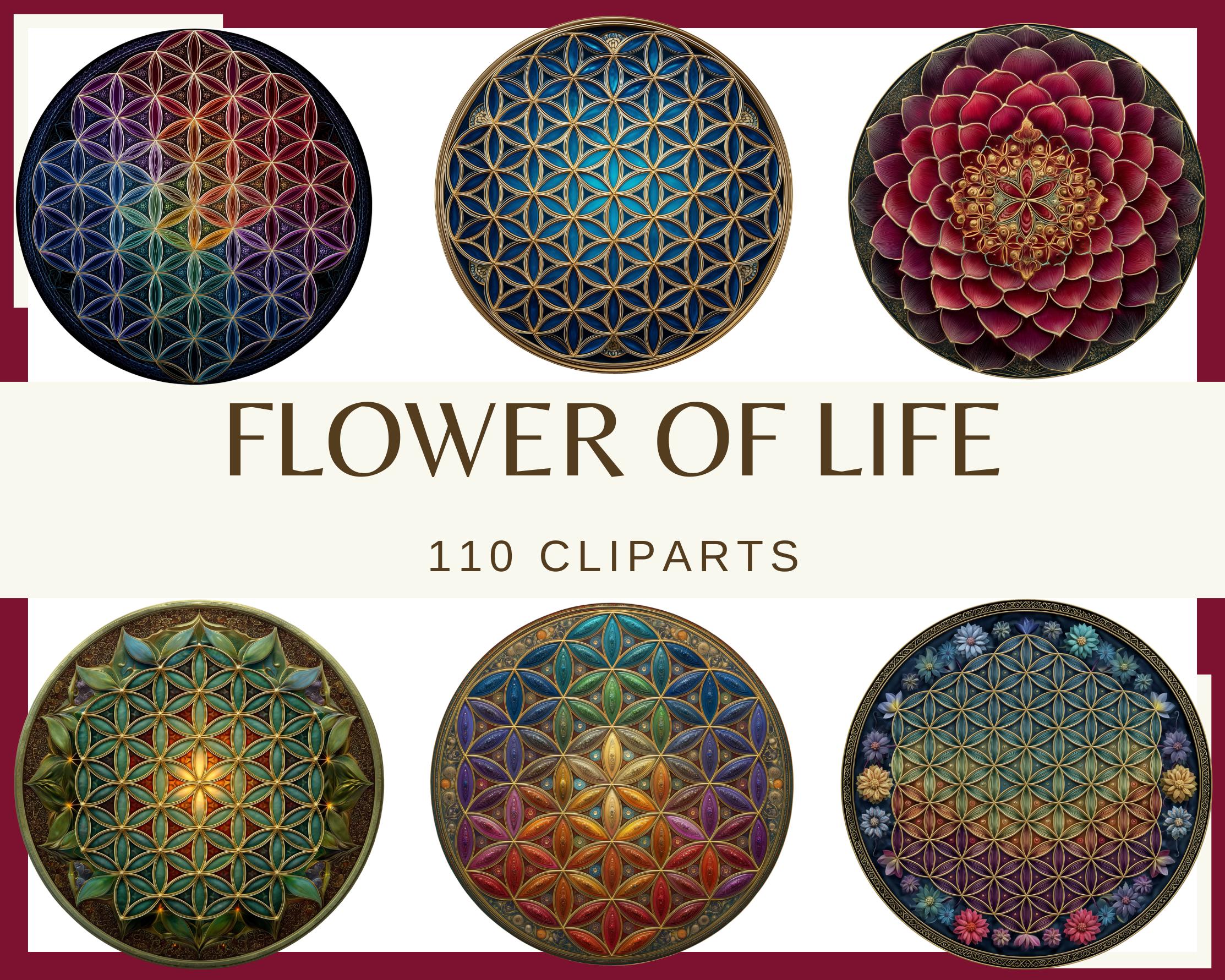 Flower of Life Clipart: Sacred Geometry Mandala Bundle (PNG, 300 Dpi ...