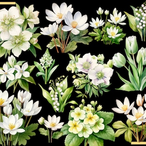 SPRING FLOWERS 100 clip arts 300 dpi, floral, nature, garden, pussy willow flower, crocus, tulip, daffodil, hyacinth magnolia bundle png image 6