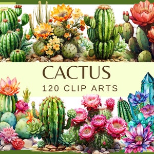 CACTUS - 100 images clipart (300 dpi, cactus du désert, cactus, succulentes, cactus rigolos, floral, png, cactus de Noël, nature, cactus arc-en-ciel)