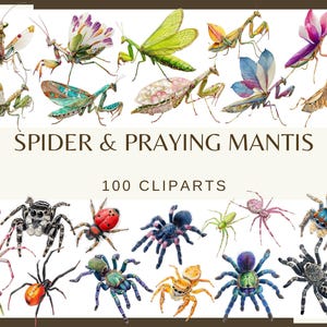 SPIDER & PRAYING MANTIS - 100 clip arts (300 dpi Insect png, Creepy Crawly Bug Art, Nature-Inspired Digital Downloads for Crafts Stickers)
