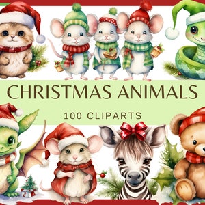 CHRISTMAS ANIMALS - 100 clip arts (300 dpi, Lama, Hamster, Zebra, Panda, Racoon, Capybara, Tiger, Lion, Squirrel, animated christmas animal)