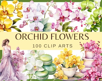 Fleurs d'orchidées - 100 images clipart (300 dpi, usage commercial, lot, numérique, fond transparent, floral)