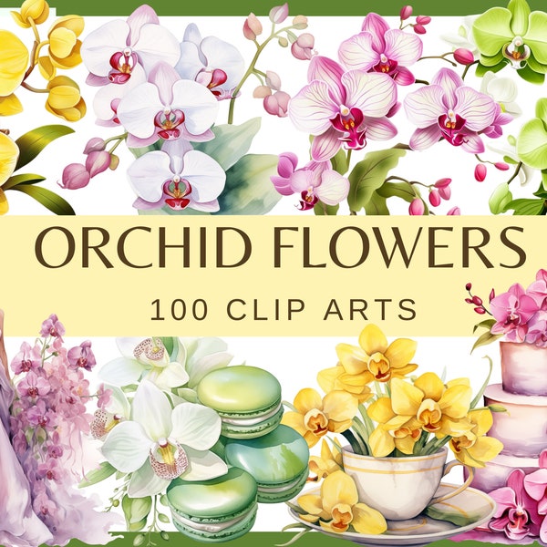 ORCHID FLOWERS - 100 clip arts (300 dpi, commercial use, bundle, digital, transparent background, floral)