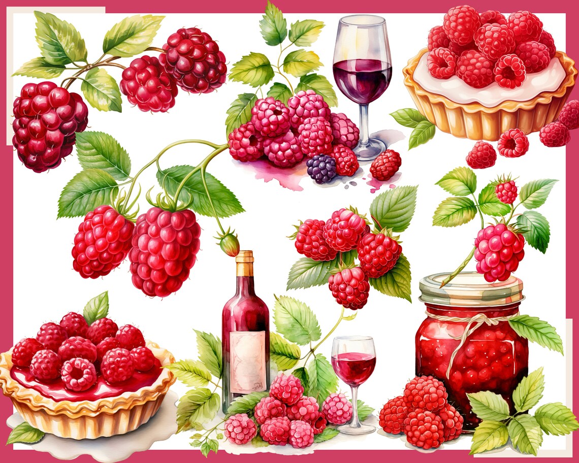 Raspberry Clip Art Bundle: Food & Drink Graphics (digital Download) - Etsy